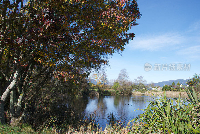 基拉尼湖保护区，塔卡，塔斯曼区，新西兰