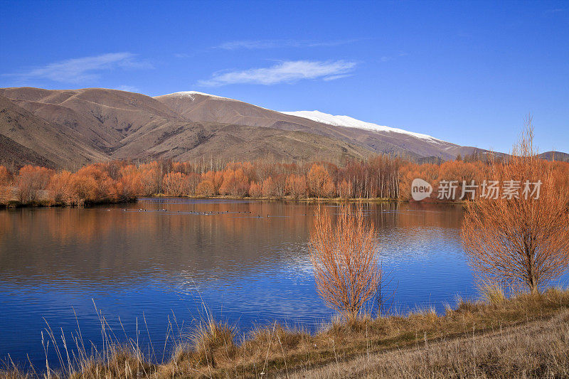 新西兰的风景