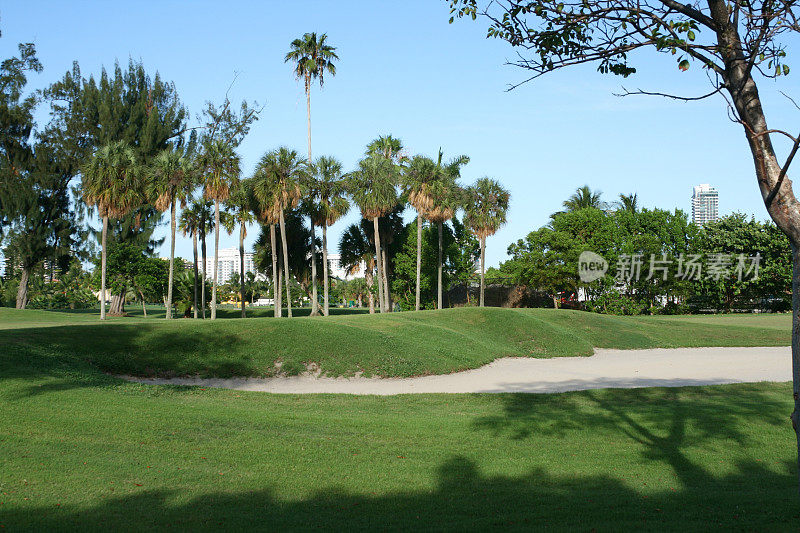 迈阿密海滩高尔夫球场