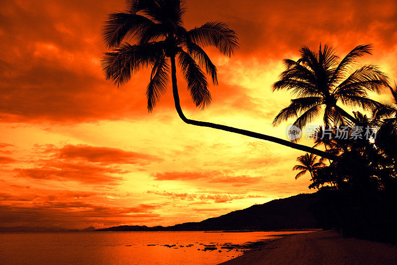 天堂日落棕榈树热带海滩苏梅岛