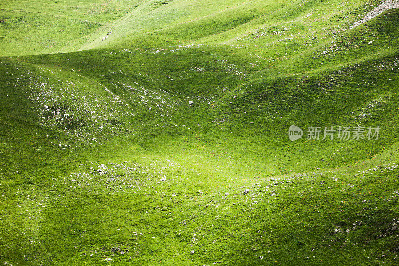 草木-高山下的山丘;