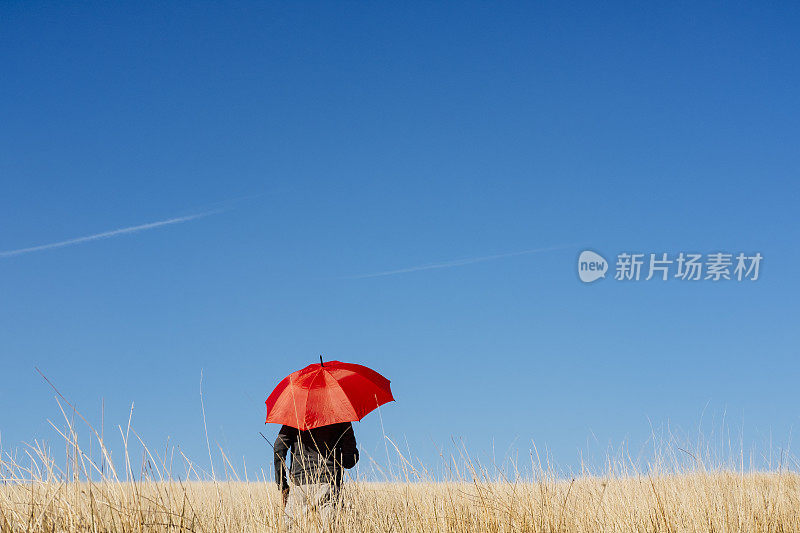 人撑着红伞，映衬着蓝天和金色的野草。