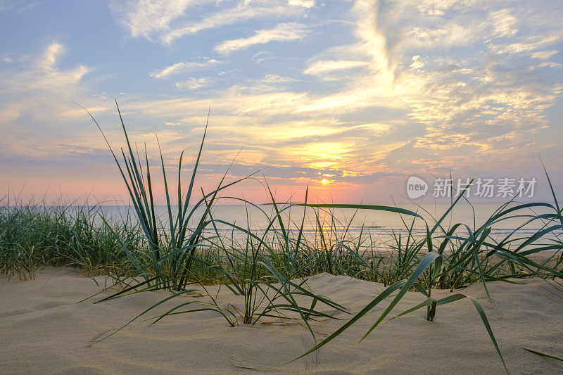北海海滩沙丘上的夏日日落