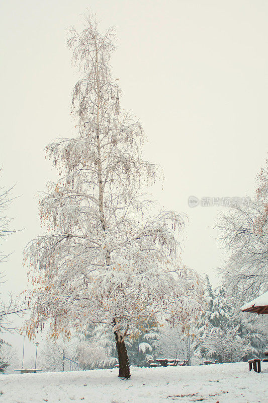 贝尔格莱德冬天的雪景