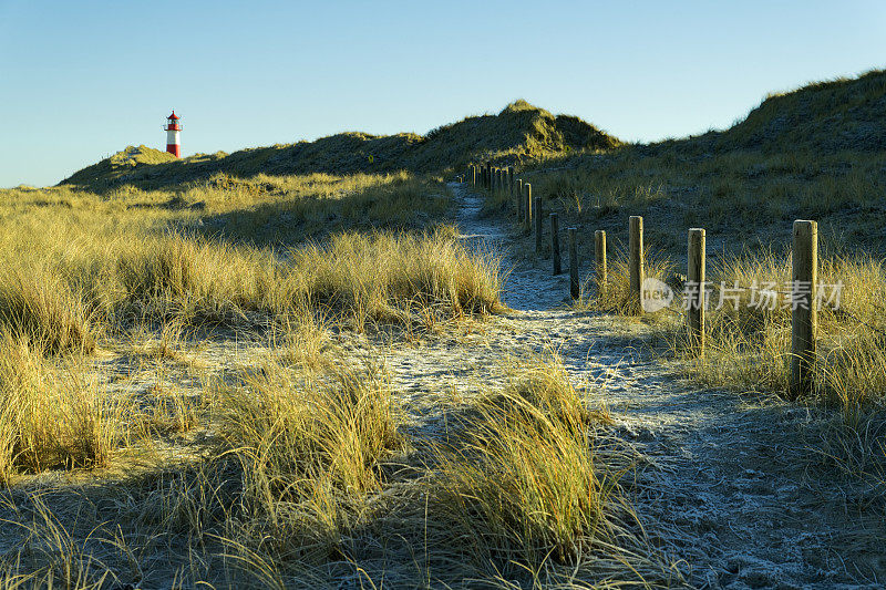 希尔特岛北部的埃伦伯根的灯塔和带有马兰草的沙丘