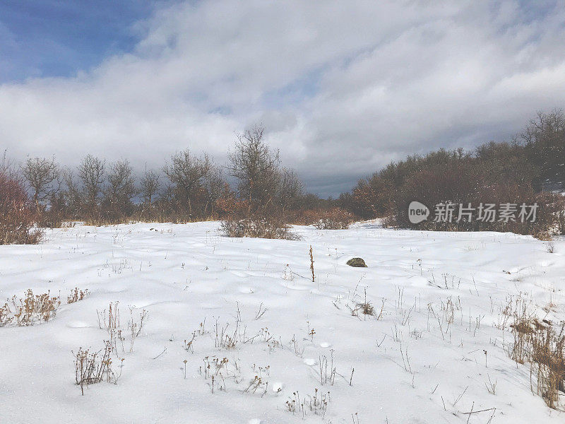 白色风景-高海拔西部科罗拉多冬季雪山全景