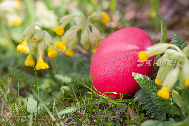 草地里藏着一个画好的复活节彩蛋