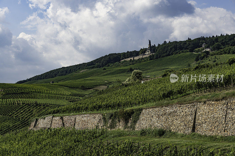 莱茵高葡萄酒种植区，靠近Rüdesheim