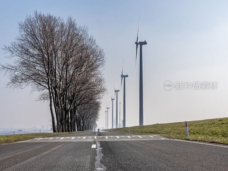 荷兰的一条公路上有树木和风力发电机