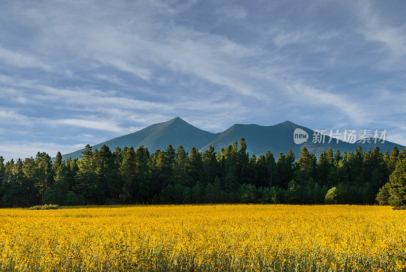 舒尔茨草地和旧金山山峰