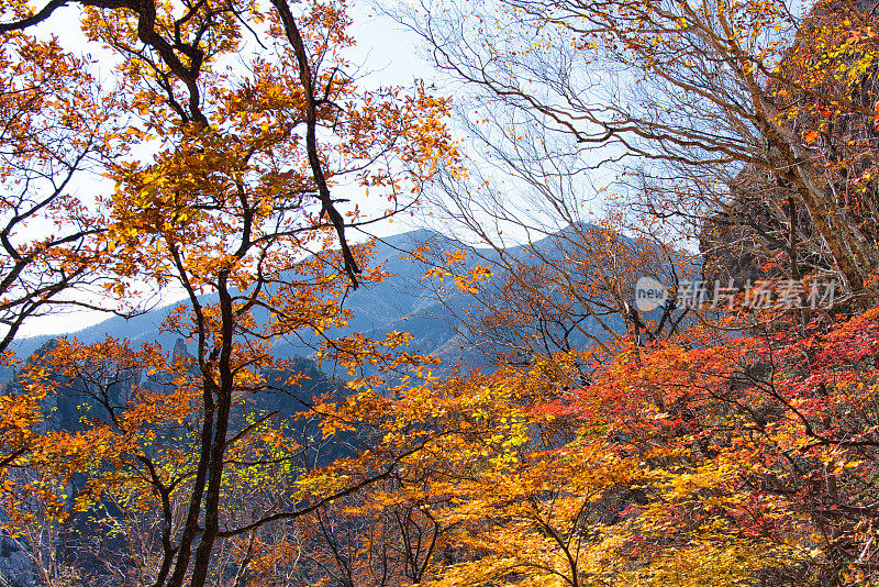 秋雪山国家公园，韩国