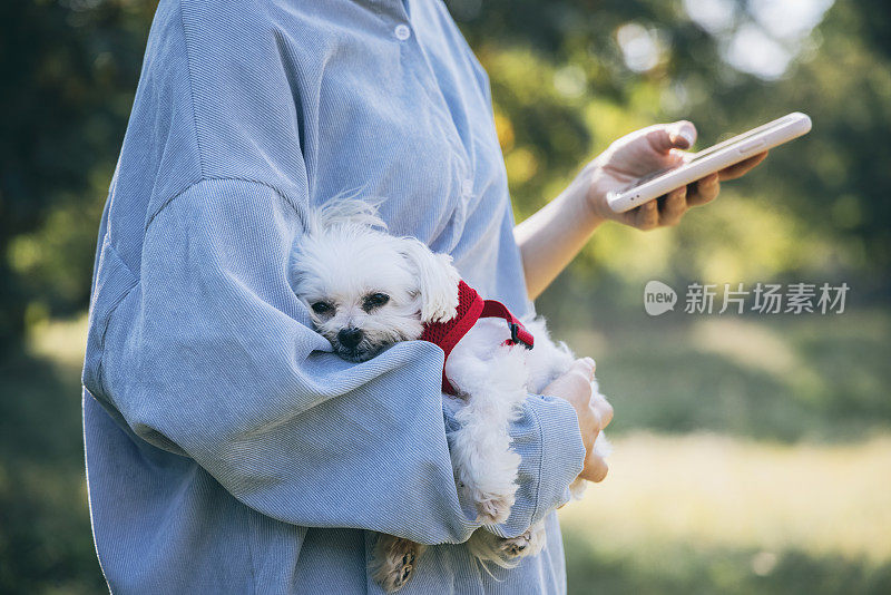 小狗和主人