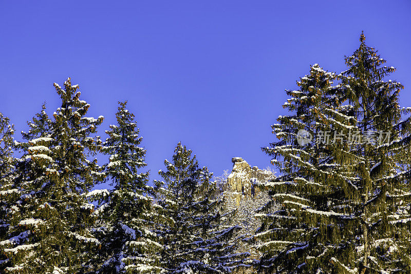 冬天美丽的雪山森林