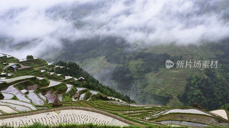 中国贵州，云雾弥漫的梯田