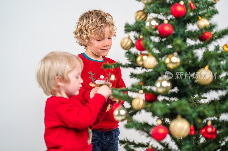 可爱的高加索兄弟装饰圣诞树