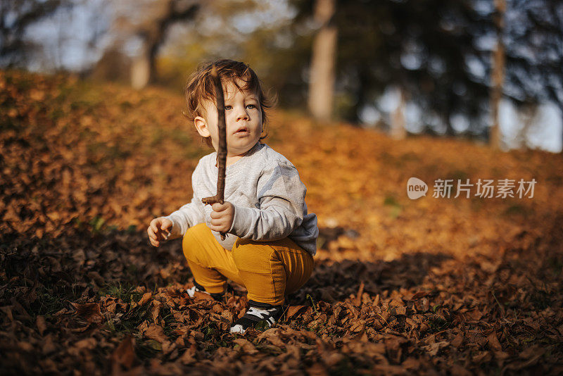 小男孩在秋天的树叶中玩耍