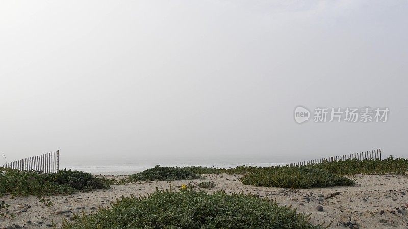 木制尖桩栅栏，沙雾海滩，美国加利福尼亚。太平洋海岸，雾霾海岸。