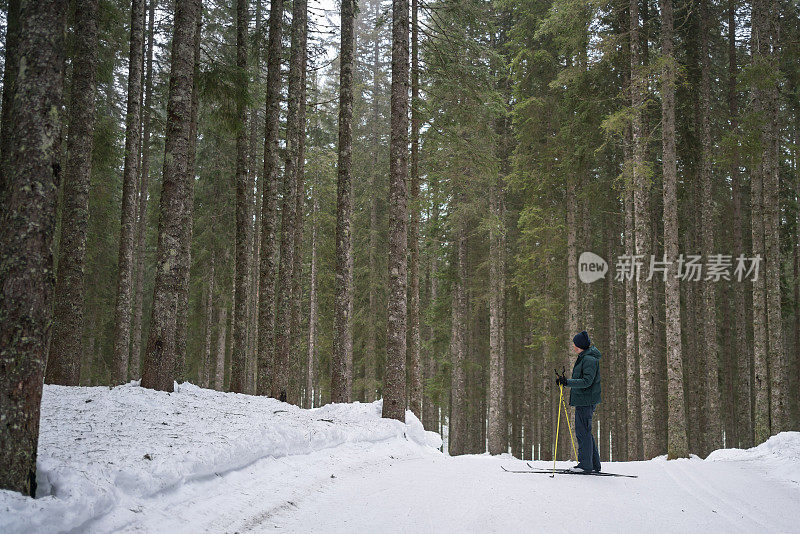 越野滑雪者在山顶的森林中停下来