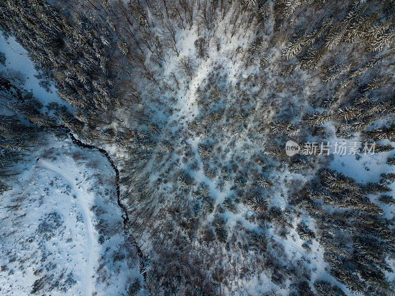 冬天的风景在雾与雪和树枝覆盖着白霜和冰冻的雪。高质量的照片