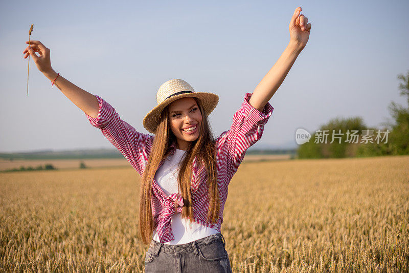 在金色的麦田里享受夏日的阳光