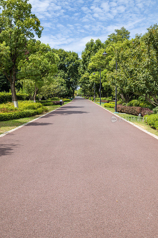 柏油路和绿林在乡村的自然公园