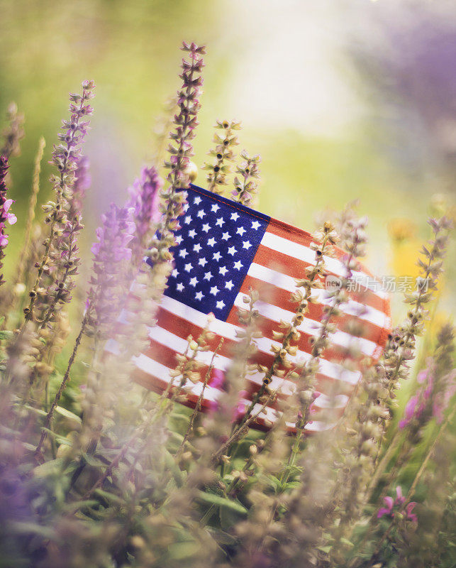 印有粉色鼠尾草的美国国旗和复印空间。阵亡将士纪念日的背景