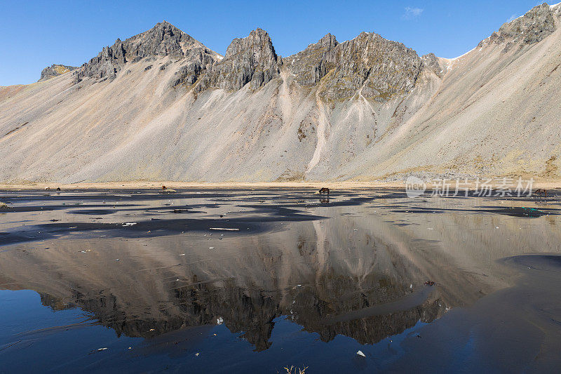 Stokksnes冰岛春天的Vestrahorn