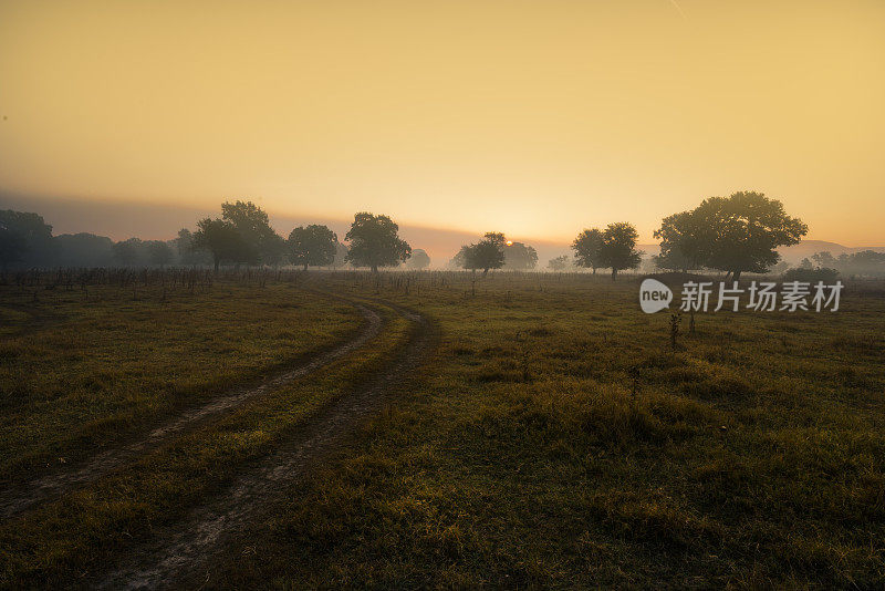 日出时山谷中有雾。秋天的风景。