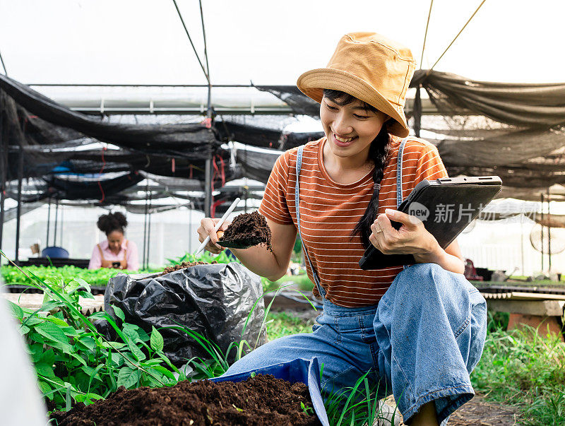 漂亮的年轻农妇拿着泥土手和石板。在田间和温室里研究土壤。农学家拿着平板研究旱地上卷心菜的收成。温室幼苗肥料。