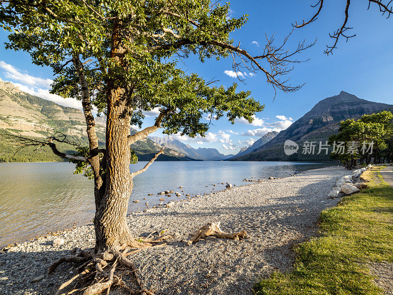 加拿大阿尔伯塔省日落的沃特顿湖国家公园中的沃特顿湖