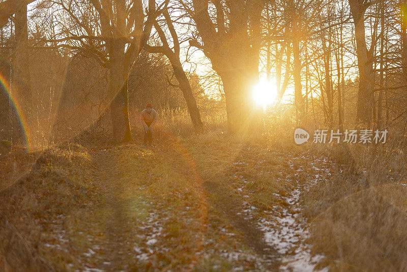 深秋日落时分在森林里远足。一个成熟的女人走在乡间小路上。背光和极端的镜头耀斑对太阳的艺术拍摄。