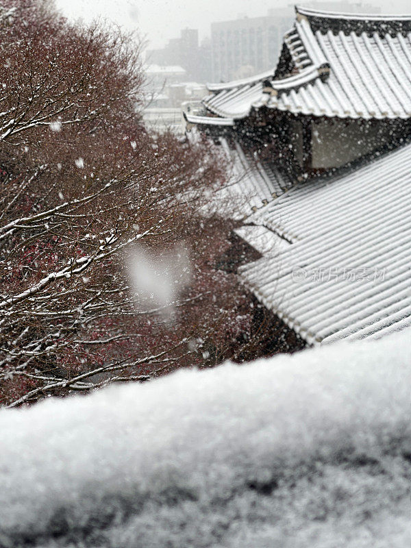 首尔的雪天