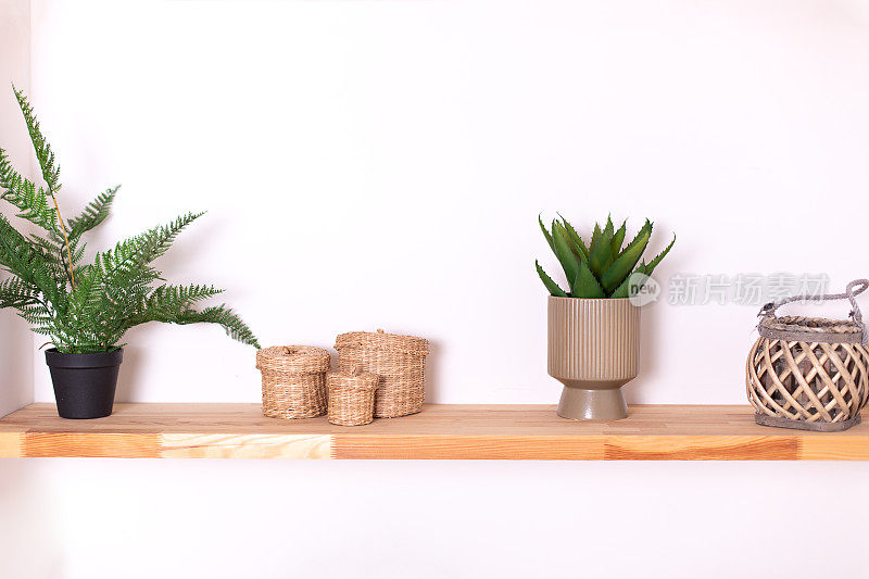 装饰优雅的木制架子，花瓶，白色墙壁上的绿色盆栽和篮子。现代构成的侘寂室内与架子与时尚的家居装饰。在花盆里种植绿色植物。