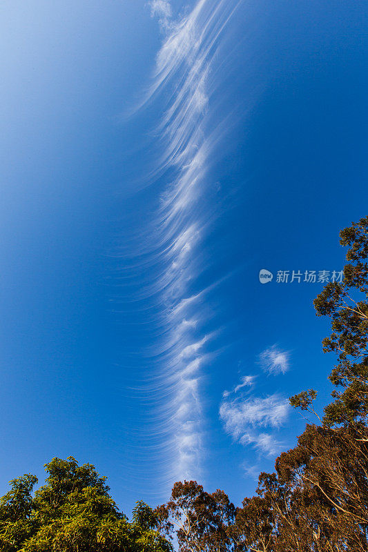 蓝色天空中独特的缕缕卷云图案