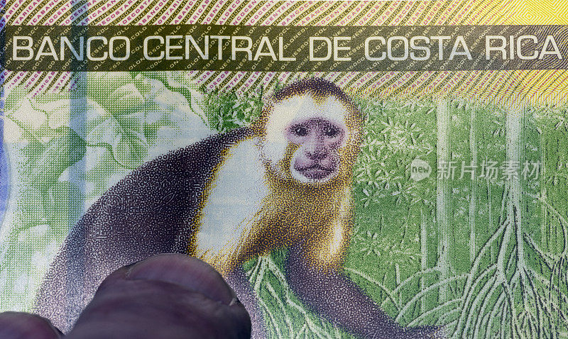 哥斯达黎加5000科隆笔记静物背景