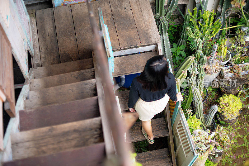 小女孩走在木楼梯上，望向远处的植物仙人掌