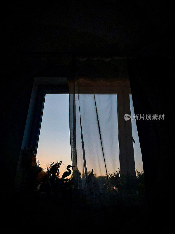 黎明的窗口