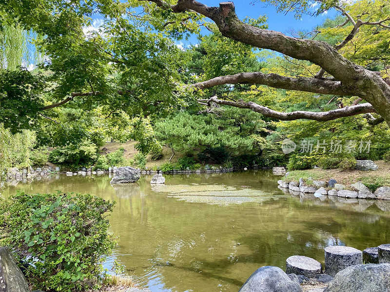 日本-京都-丸山公园