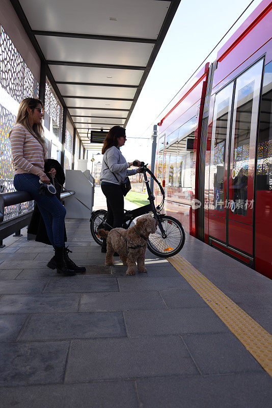 女士带着朋友和狗走上电车