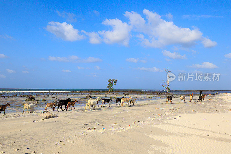 亚齐美丽海滩的全景