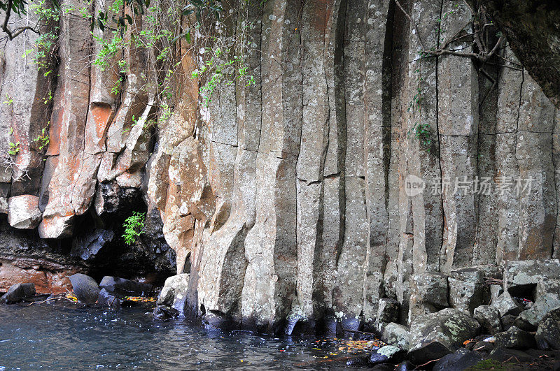 毛里求斯萨凡纳河旁的玄武岩柱