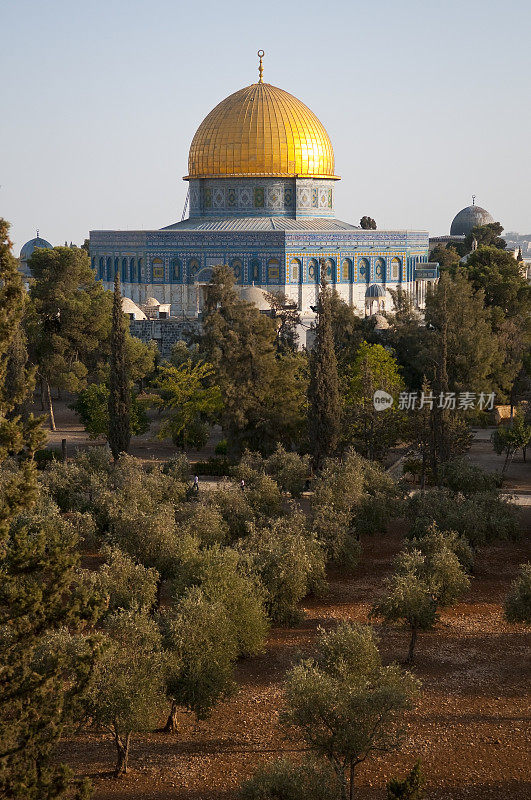 耶路撒冷的岩石圆顶，前景是橄榄树