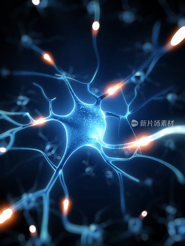 活性神经细胞图解