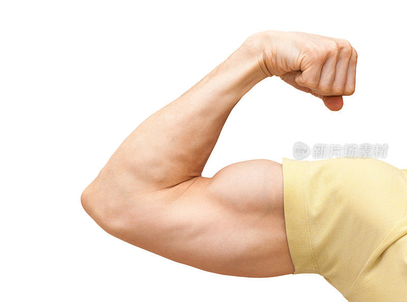 强壮的男性手臂显示二头肌。特写照片孤立在白色