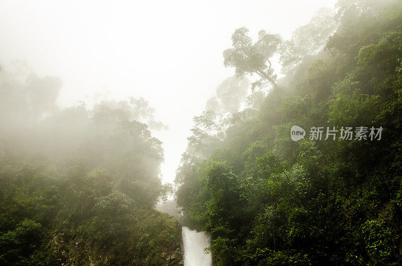 热带雨林中的瀑布