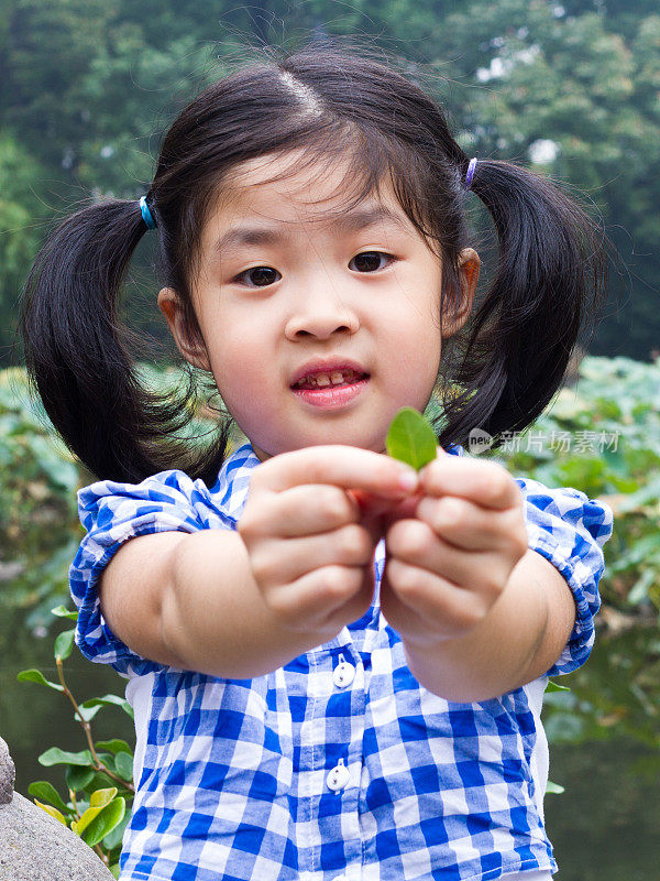 亚洲女孩拿着一片叶子