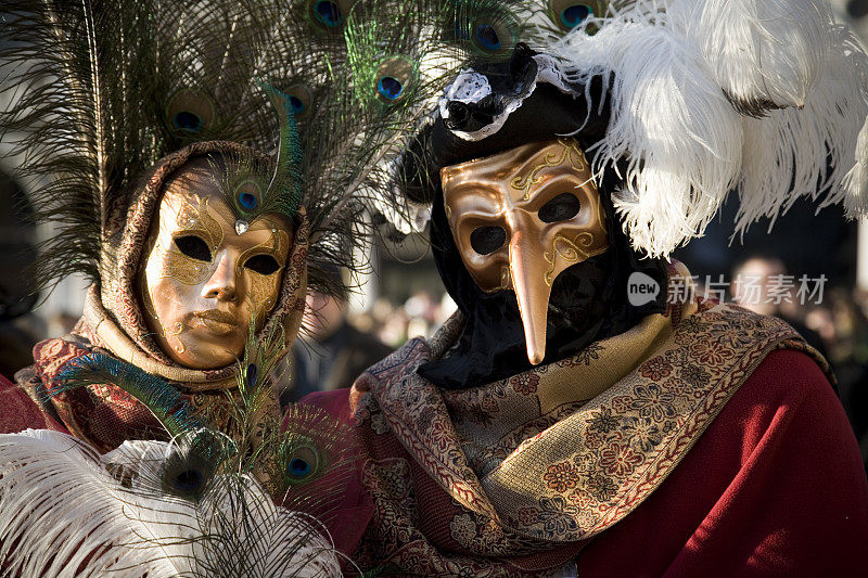 2008年威尼斯狂欢节