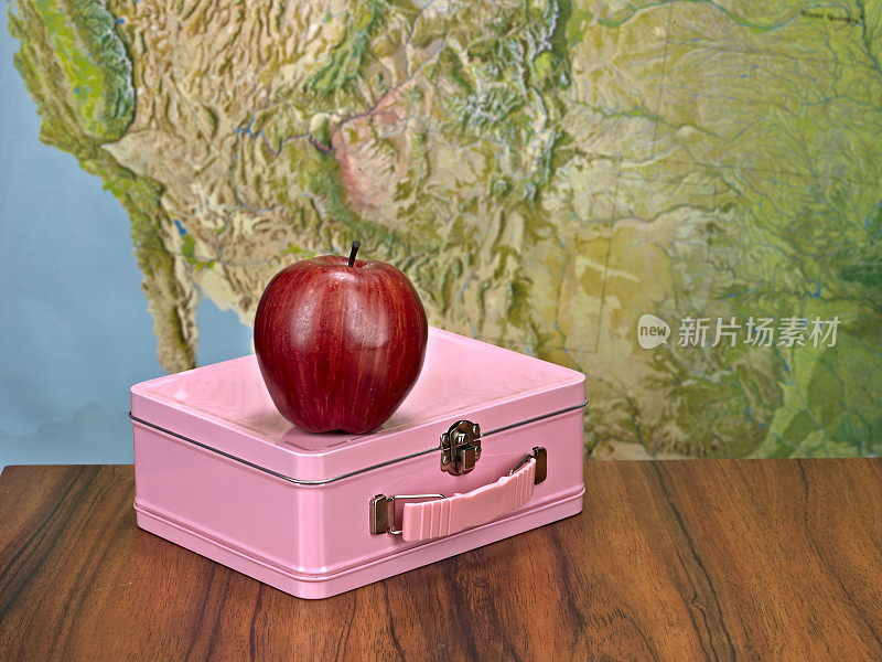苹果饭盒