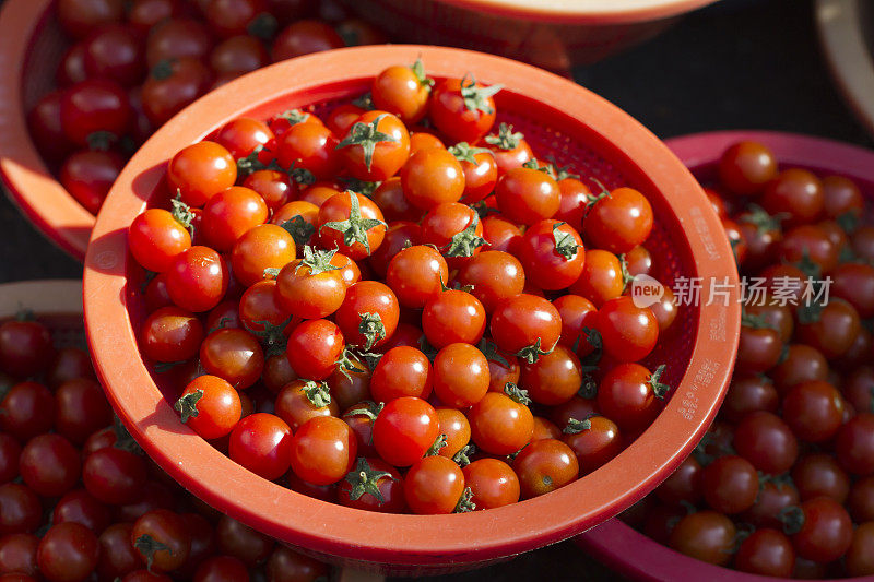 塑料碗里的樱桃番茄