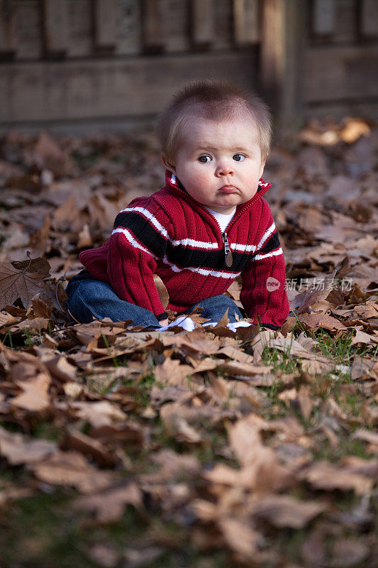 可爱的小男孩坐在秋叶户外，面朝前